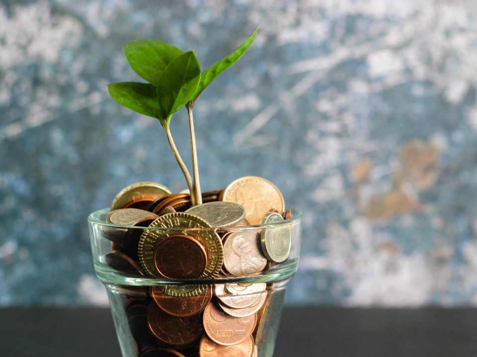 Financial management solutions