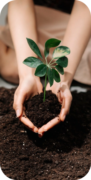 Financial management